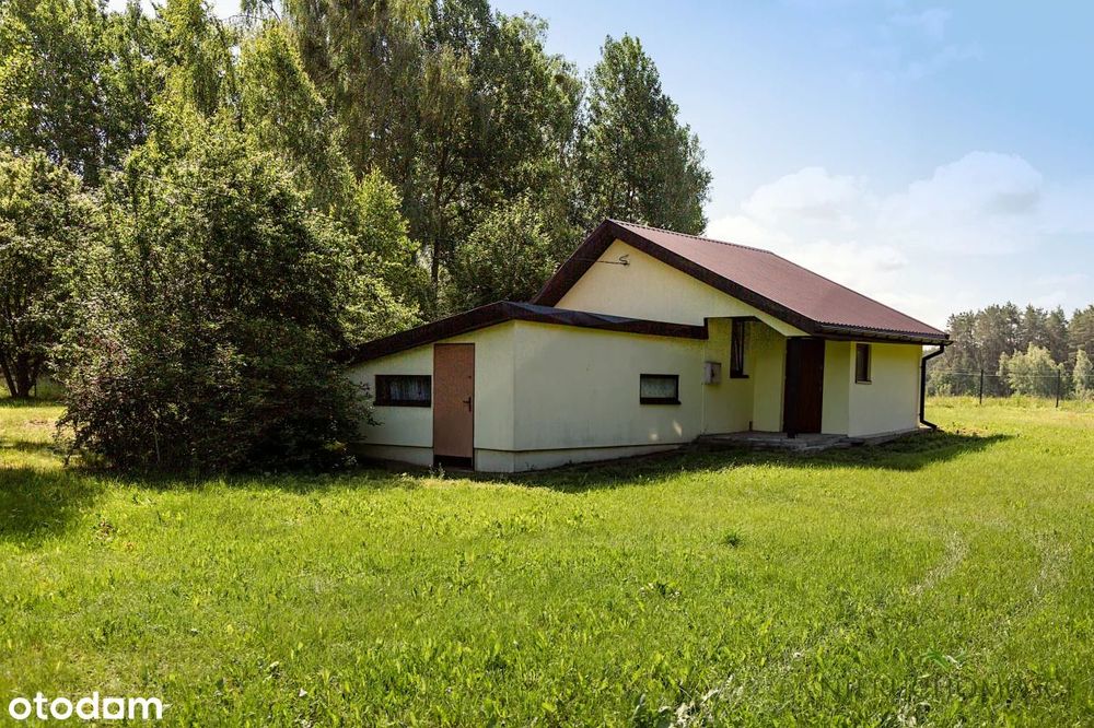 Urokliwe siedlisko pośród lasów.