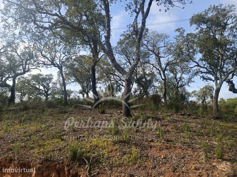 Terreno Rustico São Francisco da Serra