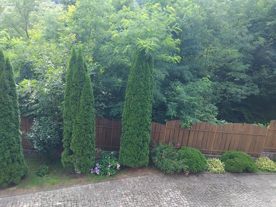 Ціну знижено! Продаю чудовий будинок садибу у Карпатах Сусково