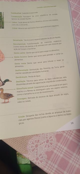 Caderno do aluno ciências 5to ano