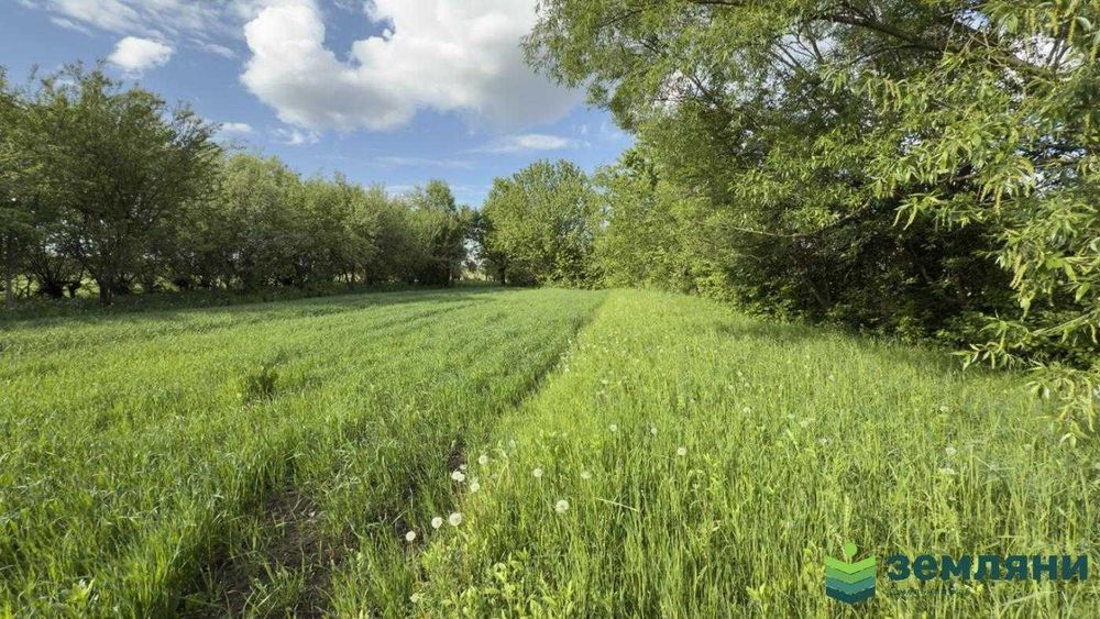 Продається ділянка 23 сот в с. Березівка (7)