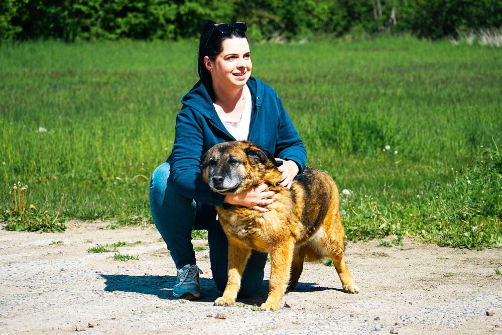 DIMI - średniej wielkosci psiak szuka domu