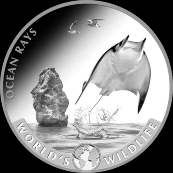 World's Wildlife Ocean Rays2023 Congo-srebrna moneta kolekcjonerska