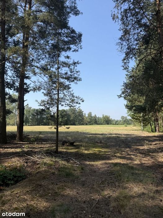 Działka budowlana, las, cisza, 40 km od Warszawy