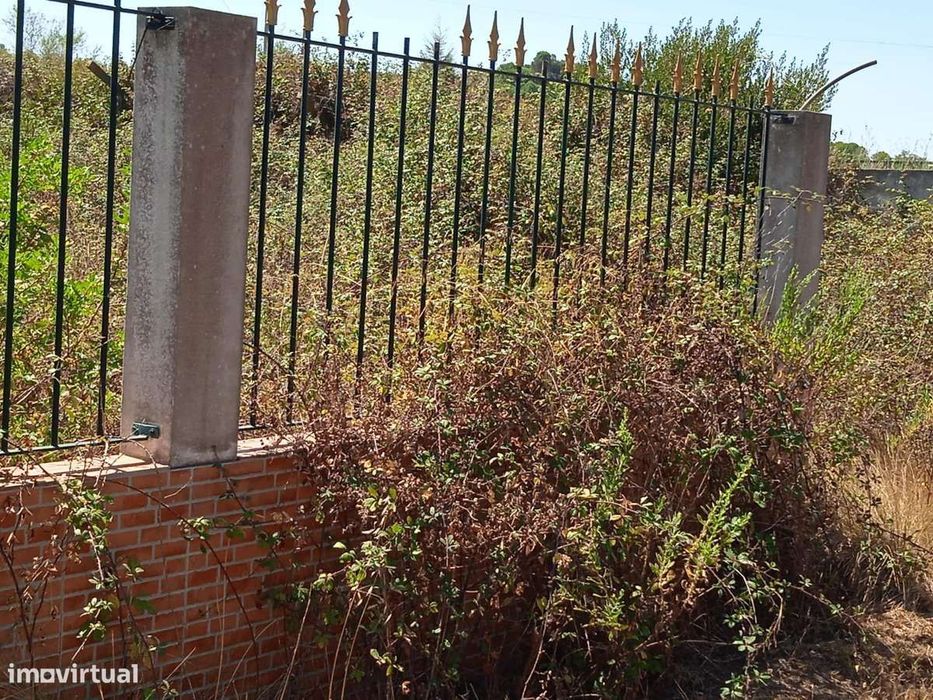 Terreno Rústico com 4.720 m² – Palhagueira | Santarém