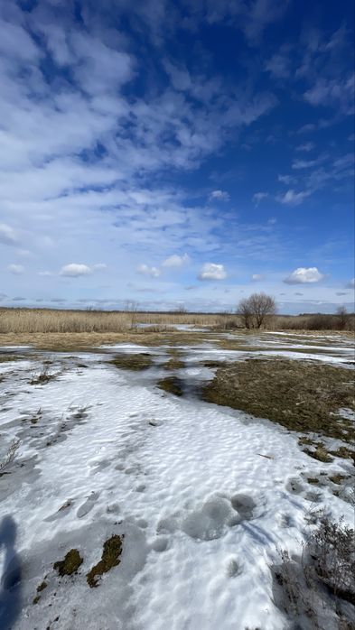 Продаж земельної ділянки поряд з лісом та водоймою (під базу відпочин.