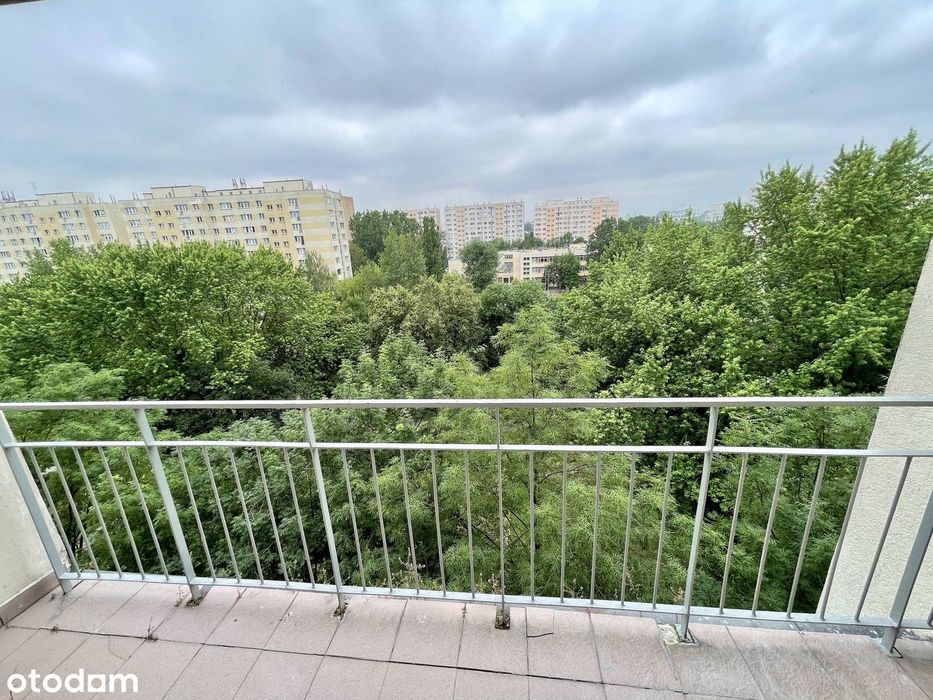 Zdjęcie 8