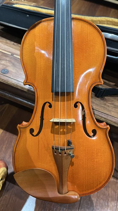 Violino 4/4 Strunal — República Checa