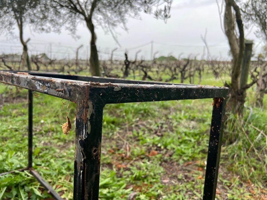 (RESERVADO) Aquário Scalare 140 x 60 x 40