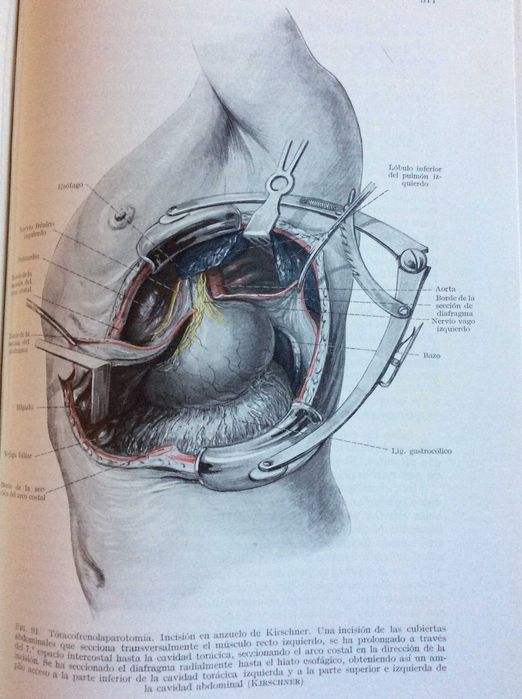 Clínica terapéutica y quirúrgica de urgencia, 1937