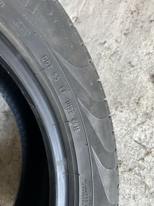 Opony letnie R19 pirelli