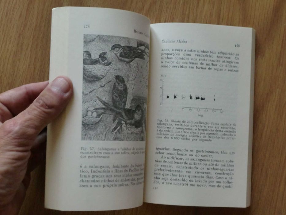 A Linguagem dos Animais de V. P. Morozov
