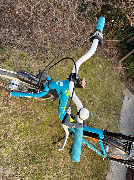 Rower Cube Scape 24"