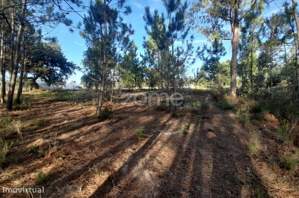 Terreno Rustico