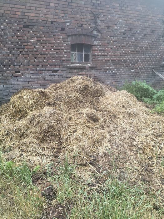 Obornik od koni i baranów