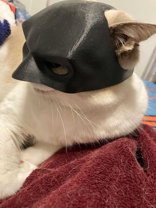Máscara Batman para Gatos ou Cães