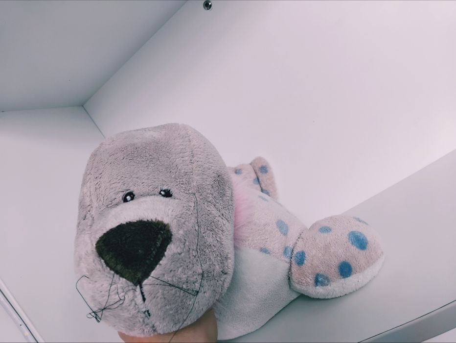 Нові м'які іграшки "Барсікі", хом'як інтерактивний, тюлень