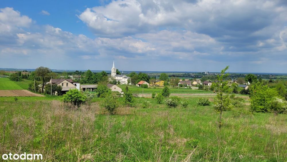 Zdjęcie 4