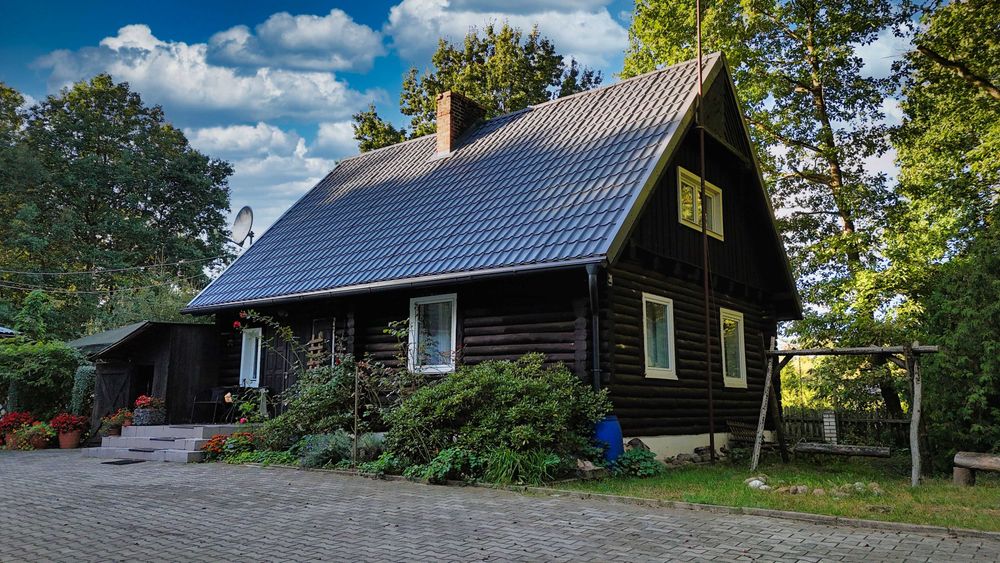 Domek w środku lasu! Na wynajem!