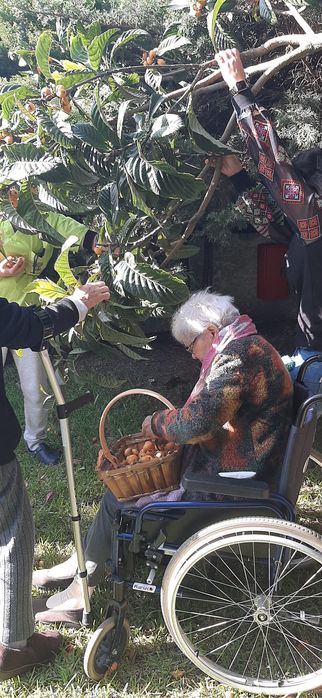 Legenda de ternura lar de idosos