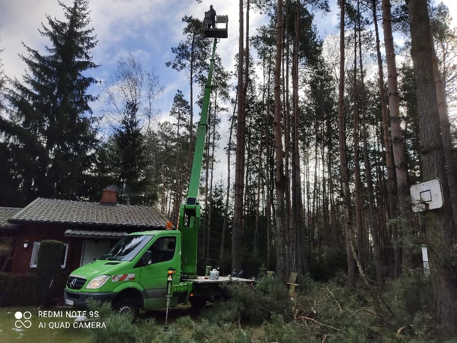 Wycinanie drzew, czyszczenie działek, rębak, frezarka, podnośnik