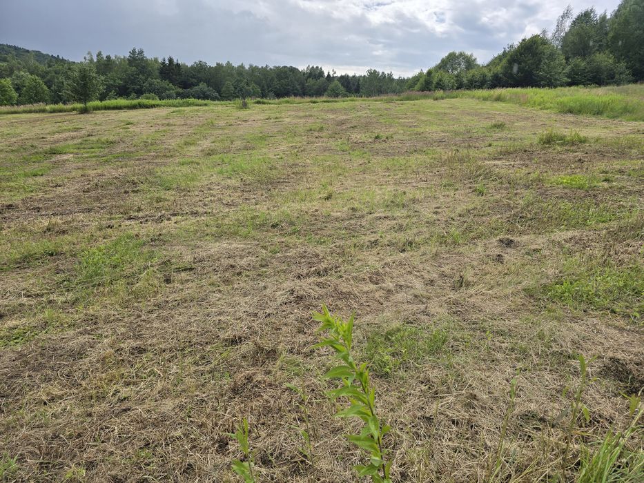 Działki widokowe z warunkami zabudowy Orzechówka - Widok 4