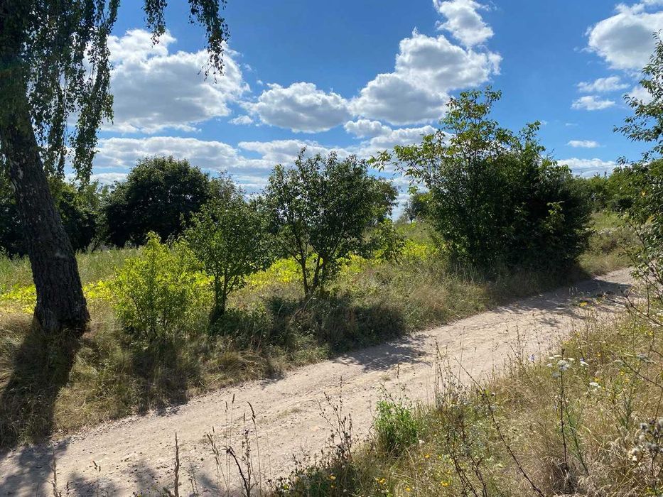 Продам ділянку біля Рівного