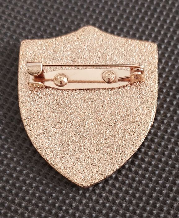 Crachá, pin,companhia de Páraquedistas