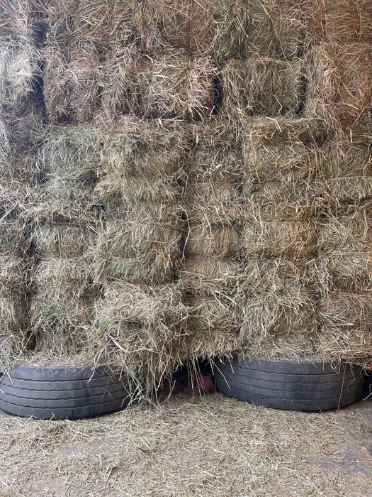 Сіно лугове 16.5 кг