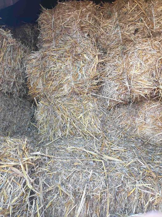 солома для тварин(з травою) доставка безкоштовно