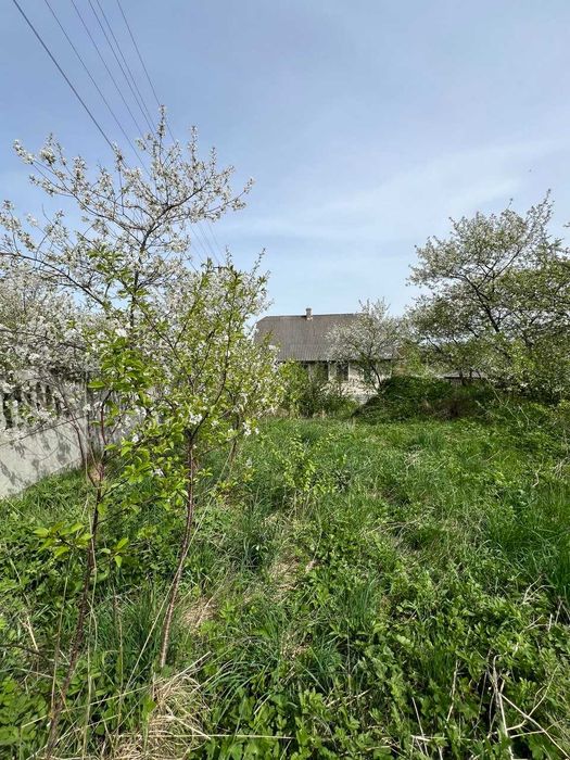 Продаж будинку в Єзуполі