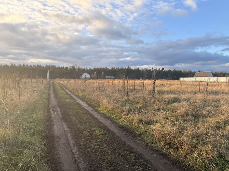 10 сот біля рибного каналу 250м поряд ліс та київське море терміново