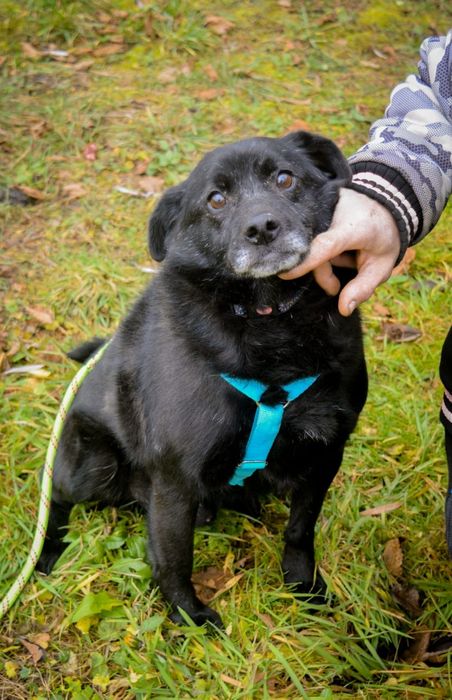 Pożar zabrał mi wszystko