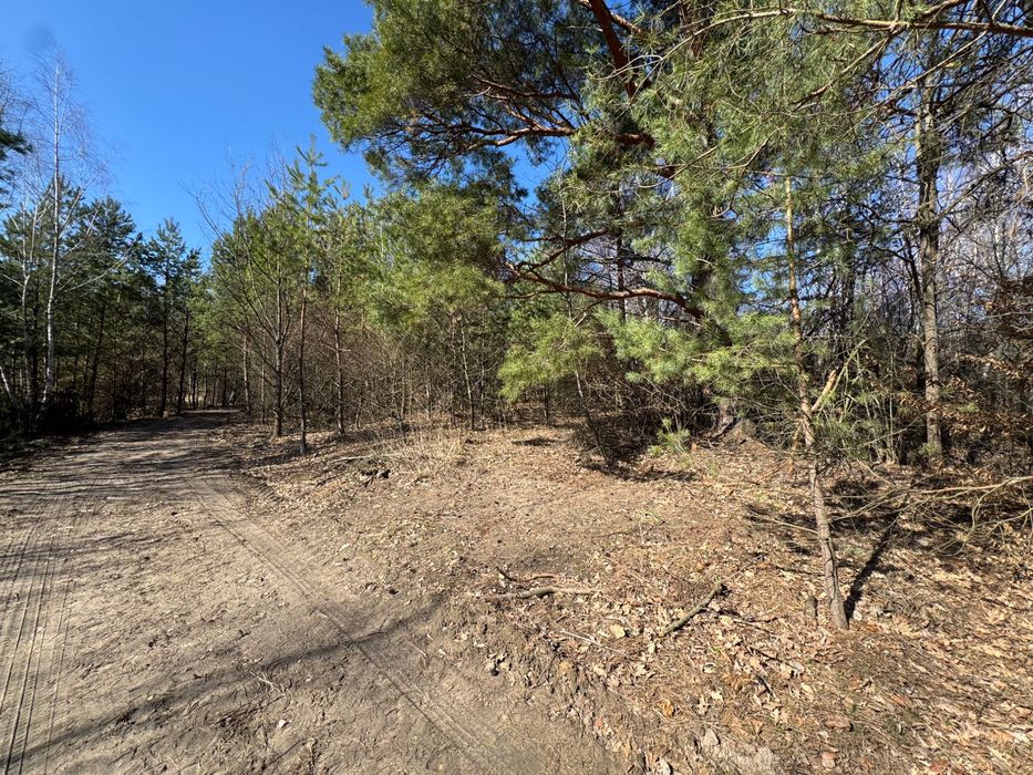 Земельна ділянка від 10 соток у лісі село Горбовичі.2200 у.о. Господар