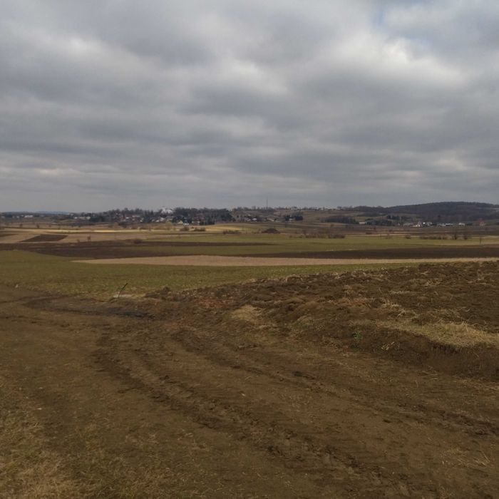 Syndyk sprzeda udział w prawie własności nieruchomości