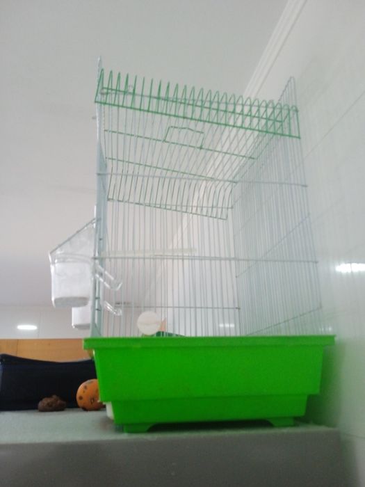 Gaiola média/grande em óptimo estado