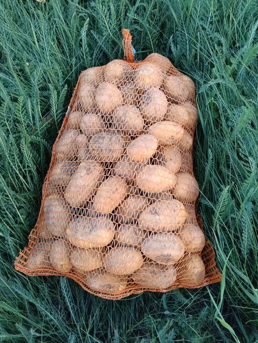 Ziemniaki worki 15kg