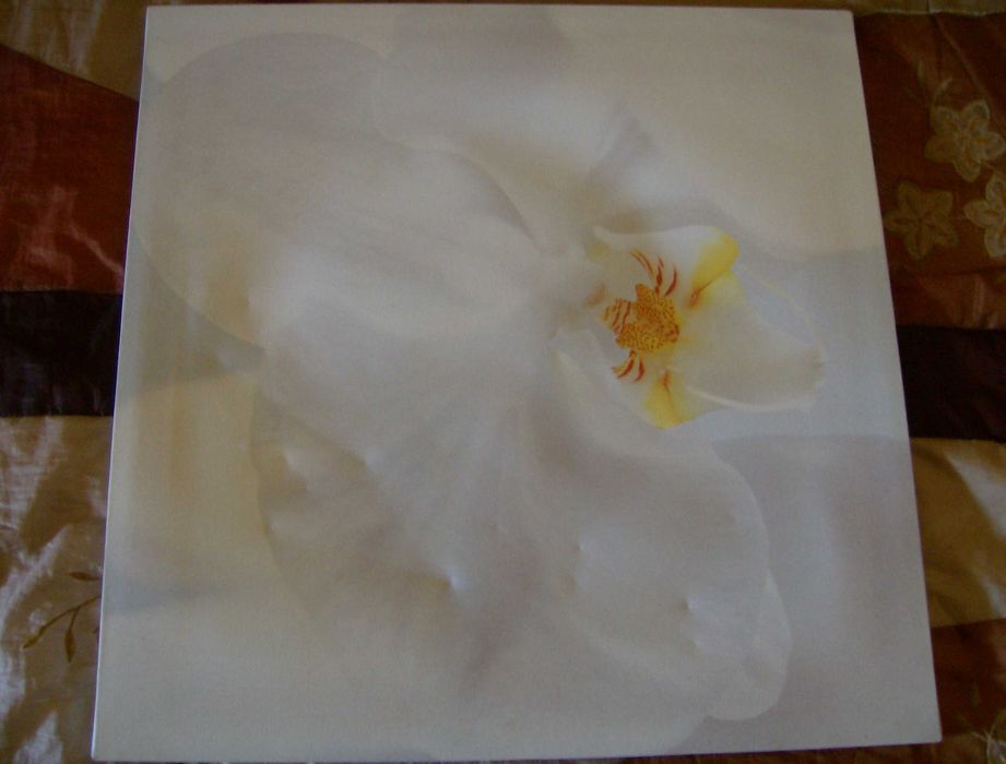 Conjunto de 3 Quadros de Parede