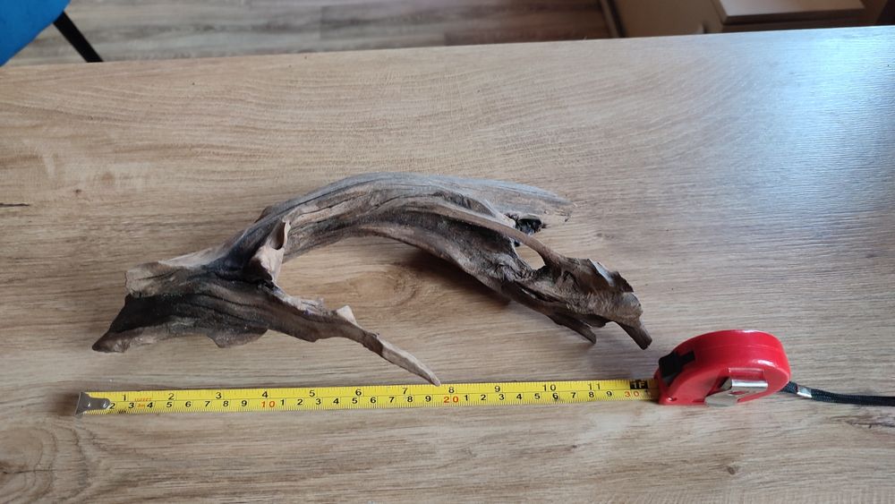 Korzenie do akwarium.