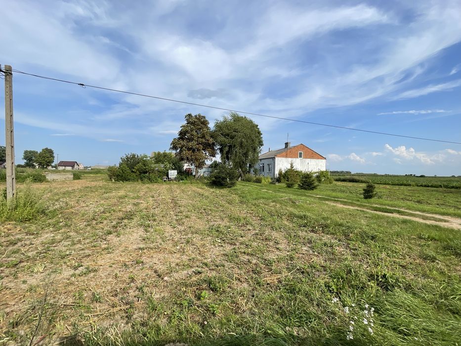 Dom – Przylaski - Widok 4