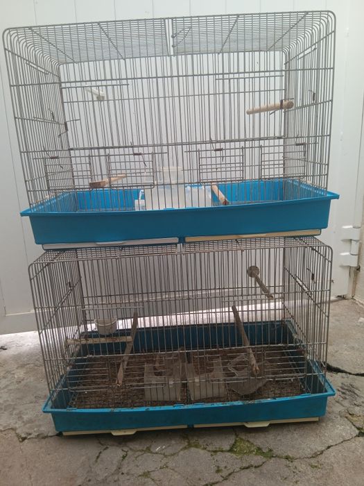 Conjunto gaiolas