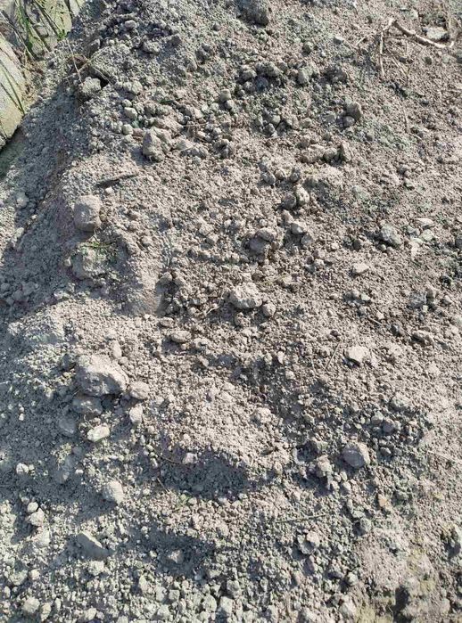 Глина с песком, около 6-8 тонн, самовывоз