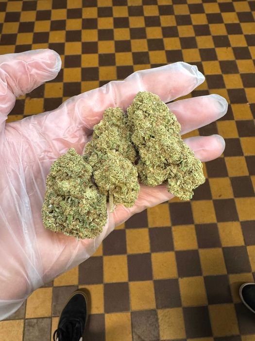 Susz CBD indoor Biscotti 100g KMWTW