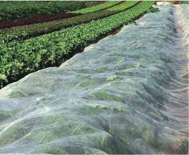 Agrowłóknina biała włóknina 15,8x100 23g wzmacniane brzegi