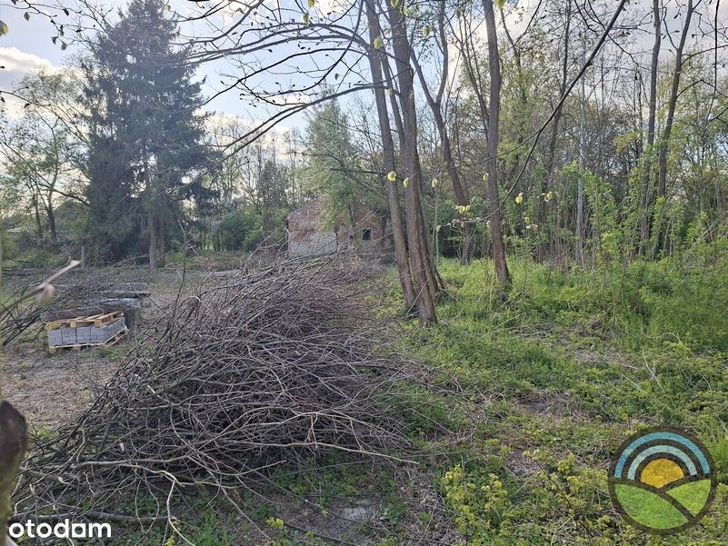 Działka budowlana 954 m² w cichym miejscu - Widok 5