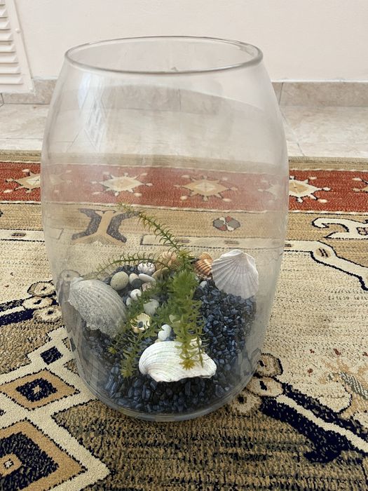 Aquário em Vidro com Decoração