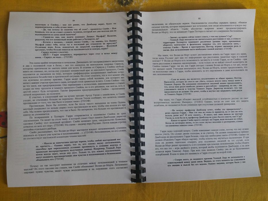 Лорри Ким СЕВЕРУС, Гарри Поттер