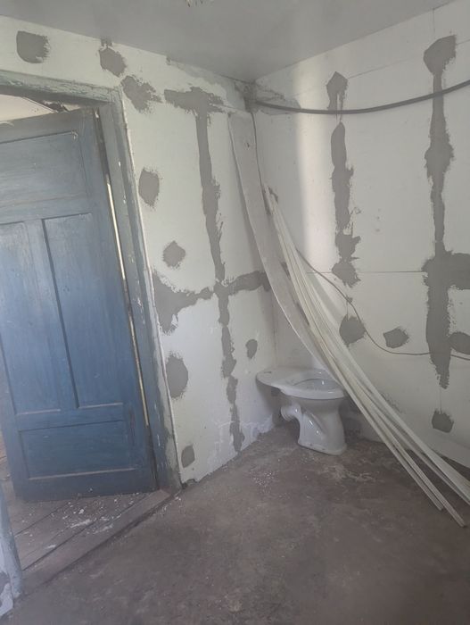 Продам будинок в мальовничому селі