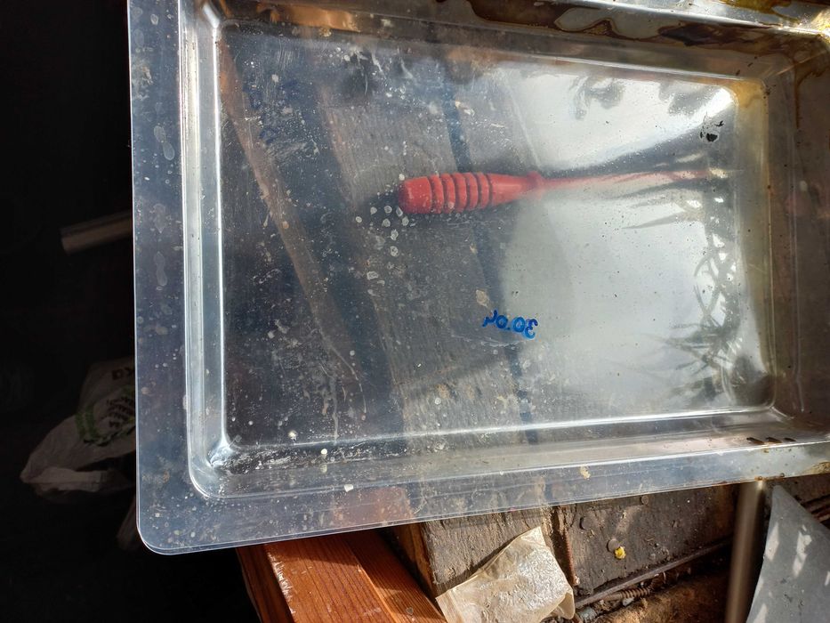 Pojemniki plastikowe,foremki