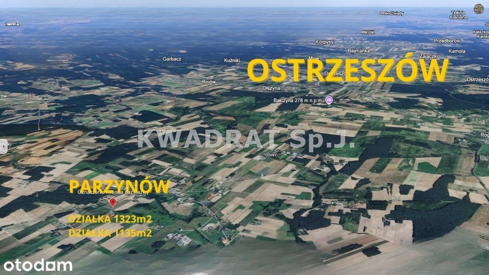 Działka, Parzynów